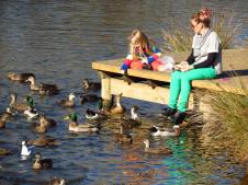 Feeding ducks on the Coal river