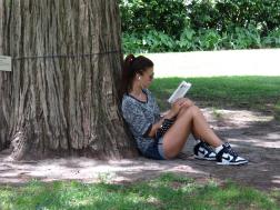 Reading under a shady tree