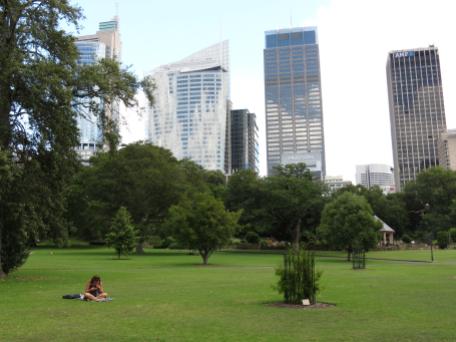 The domain is surrounded by the hi-rise buildings of Sydney