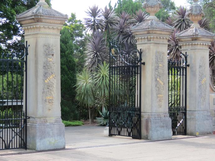 Follow me into the Royal Botanic Gardens of Sydney