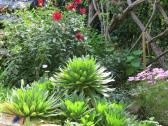 Akaroa Giart house garden PC 141_4000x3000